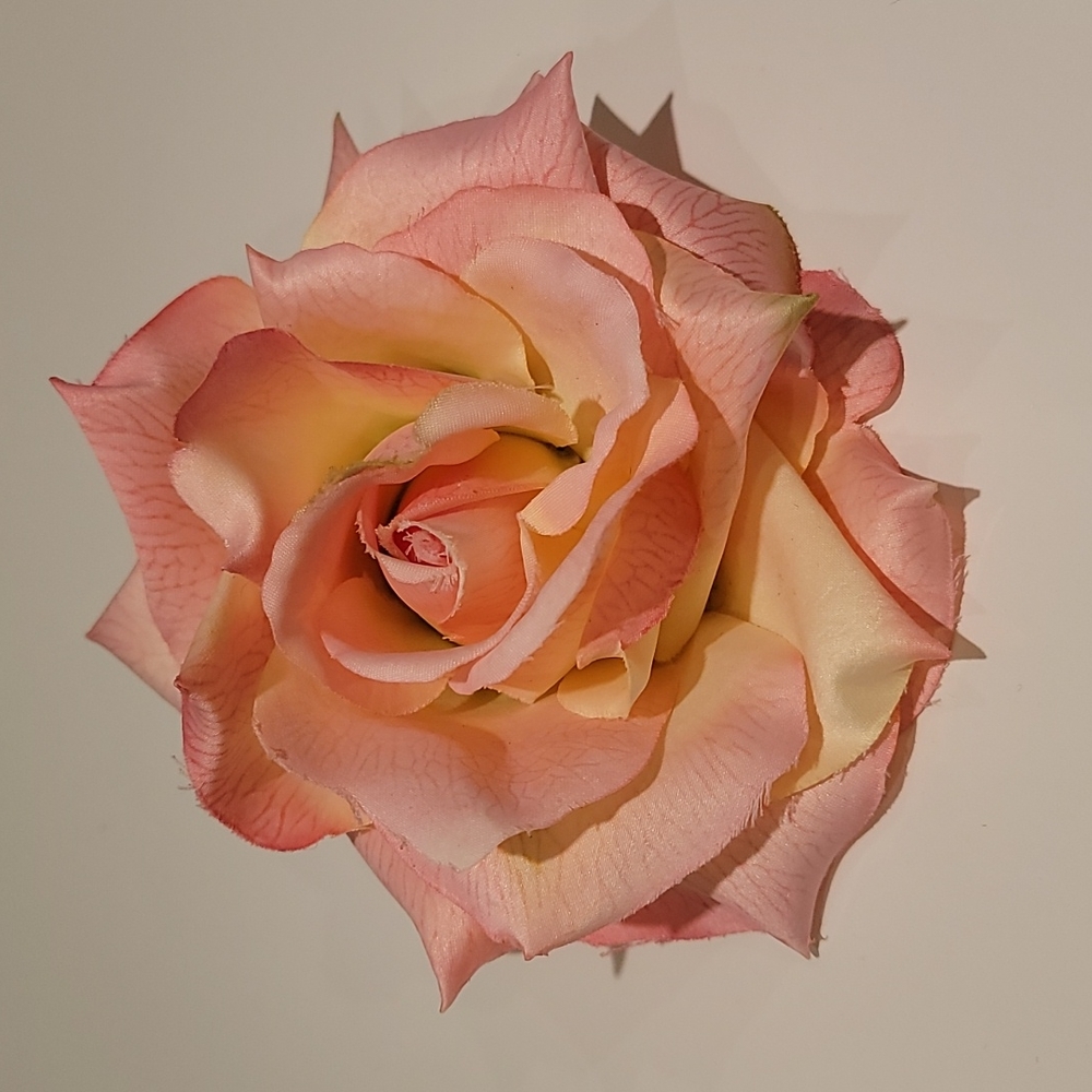 Cara Rose 🌹 Pin